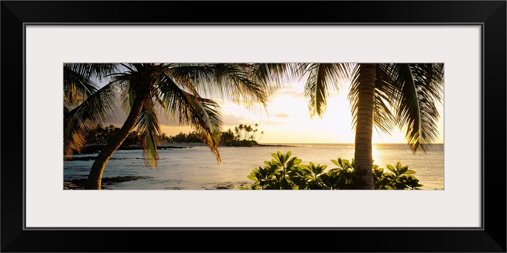 Panoramic wall art photo for the office or home of the Hawaiian coast; palm trees frame the sun setting over the ocean wit...