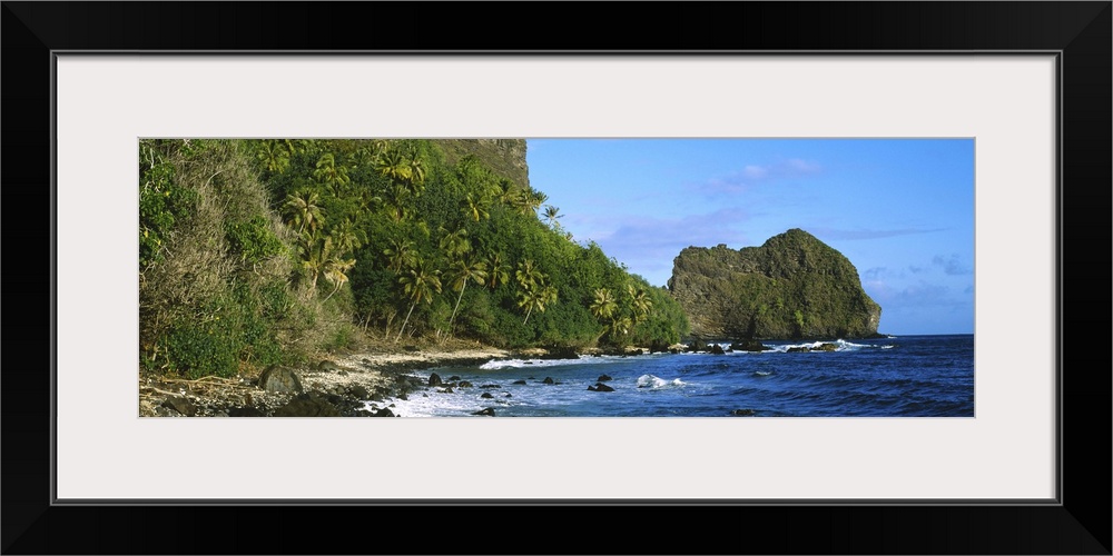 Palm trees on the coast, Marquesas Islands, Tahiti, French Polynesia