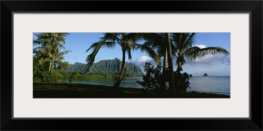 Widen angle photograph on a giant wall hanging of palm trees swaying on the coastline of Kaneohe Bay, mountains on the dis...