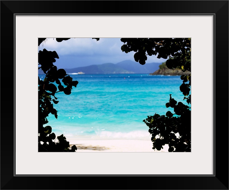 Large photograph shows the clear water of a beach in Cinnamon Bay through a silhouetted outline of bushes.  In the distanc...