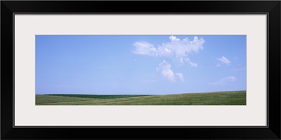 Panoramic view of cornfields, Iowa