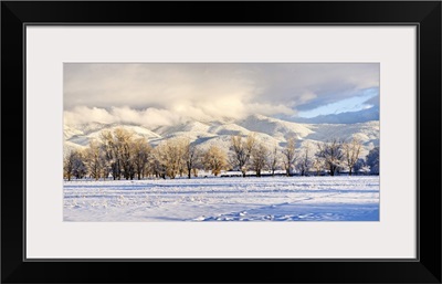 Pasture land covered in snow, Taos Mountain, Sangre De Cristo Range, Colorado