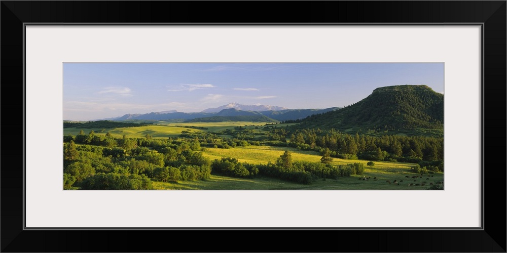 Pasture on a landscape and a mountain in the background, Pikes Peak, Douglas County, Colorado