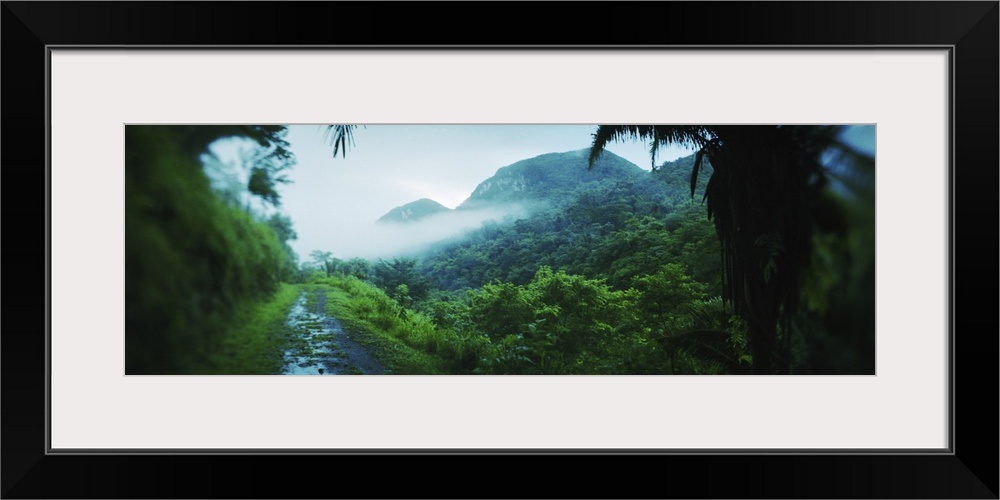 This is a panoramic photograph with blurred vignettes around the edges showing a muddy pathway through a tropical jungle.