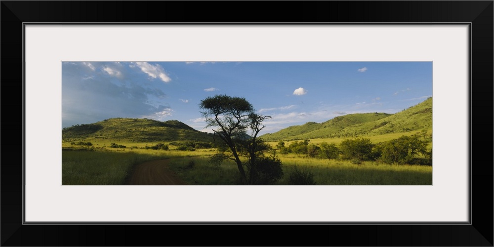 Path on a landscape, Zimbabwe