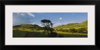 Path on a landscape, Zimbabwe