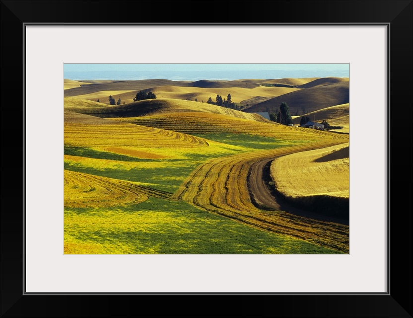 Patterns in farm fields, rolling hills of Palouse region, Washington