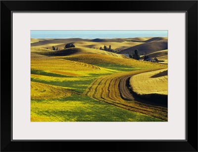 Patterns in farm fields, rolling hills of Palouse region, Washington