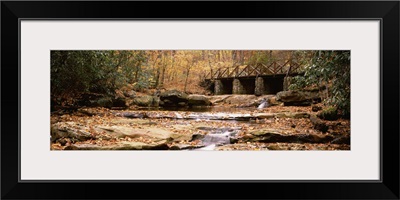 Pennsylvania, Ohiopyle State Park, Cucunber Run, Stream flowing through the forest