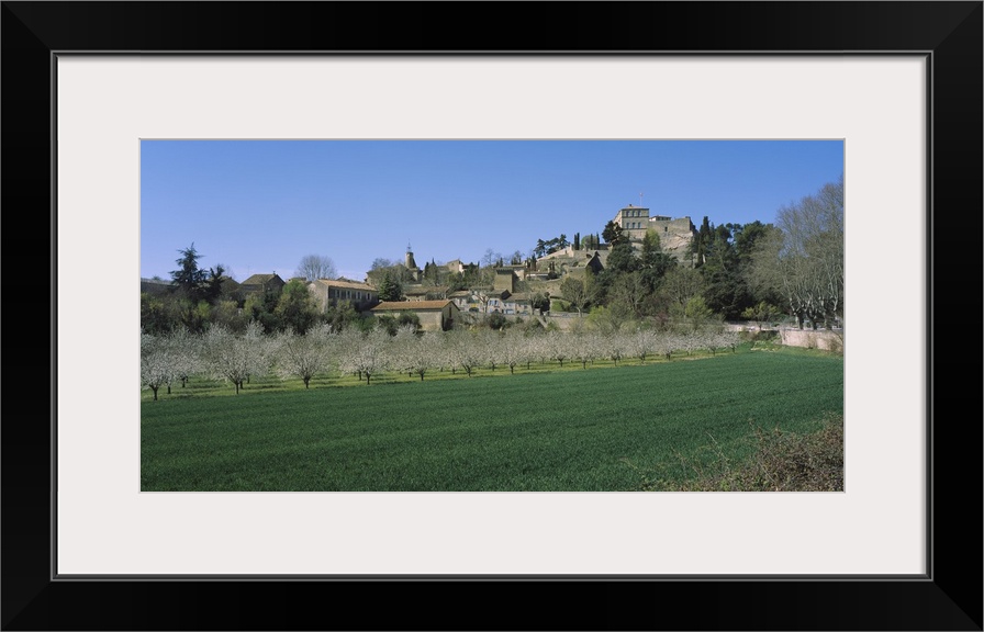 Plants in a field near a town, Ansouis, Luberon, France