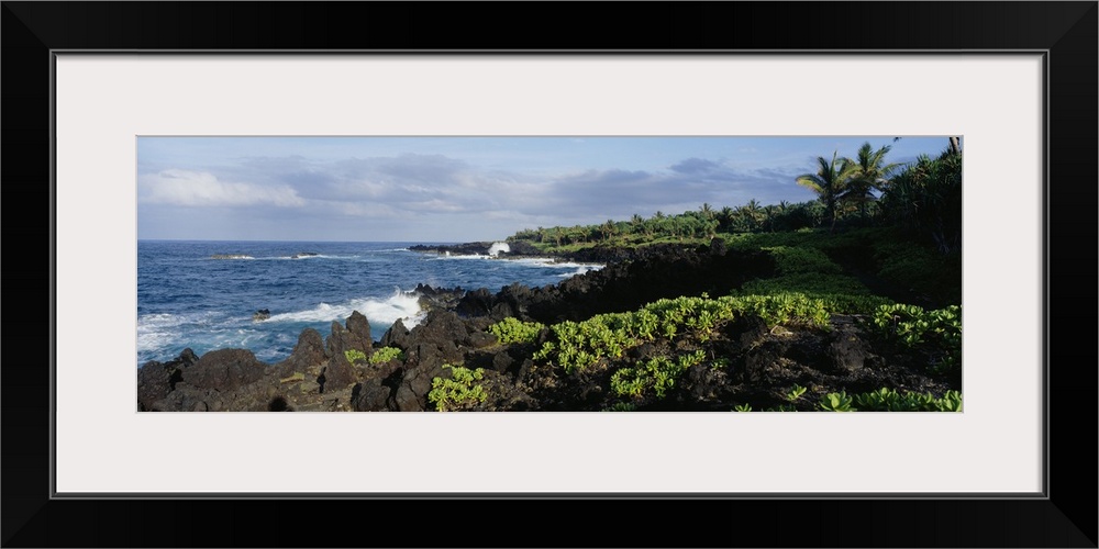 Plants on a rocky landscape, Waianapanapa State Park, Hana, Maui, Hawaii