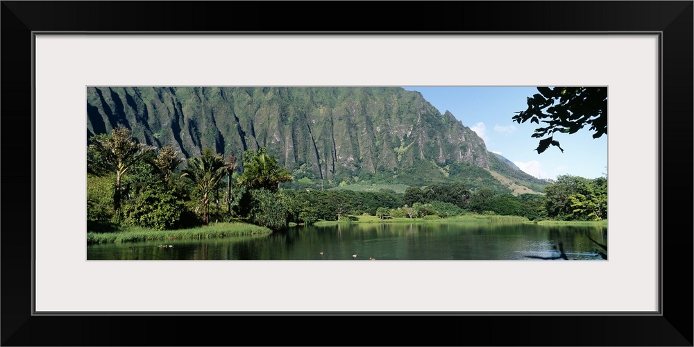 Mountains overlooking ducks in a lagoon at the Hoomaluhia Botanical Garden in Kaneohe, Hawaii.