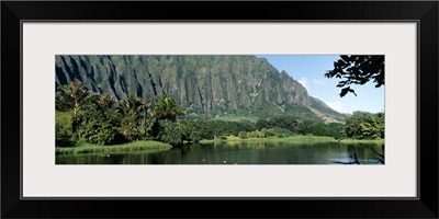 Pond in a garden, Hoomaluhia Botanical Garden, Kaneohe, Oahu, Hawaii