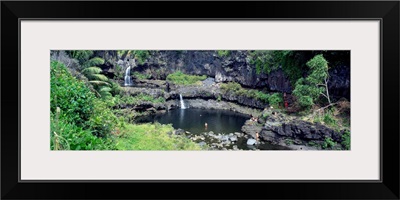 Pools in a forest, Seven Sacred Pools, Maui, Hawaii