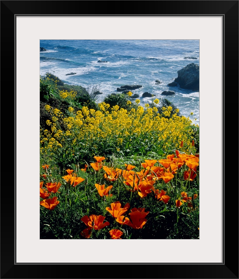 Vertical photograph of florals growing on the top of a cliff overlooking the sea.