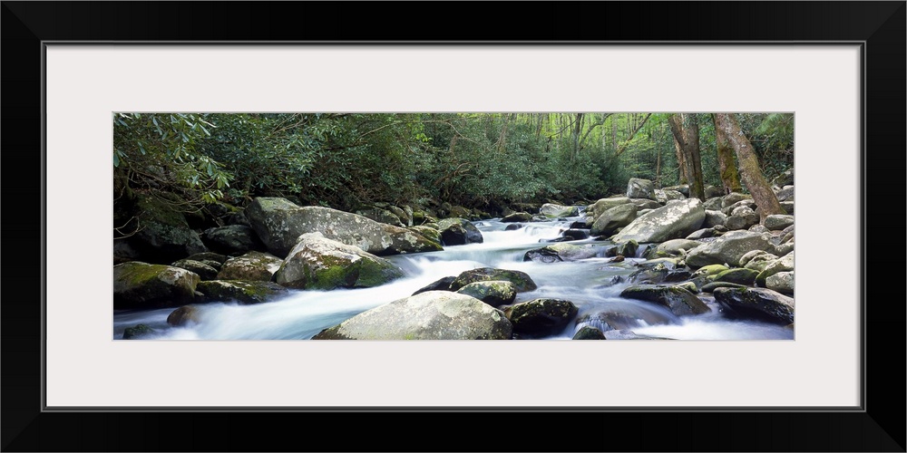 Wide angle photograph of rocky Porter creek rushing through a dense forest of greenery and trees in Smoky Mountains Nation...