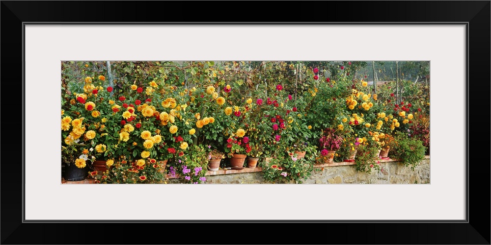 Panoramic photograph displays a row of colorful flowers in an assortment of pots sitting on top of a brick ledge.