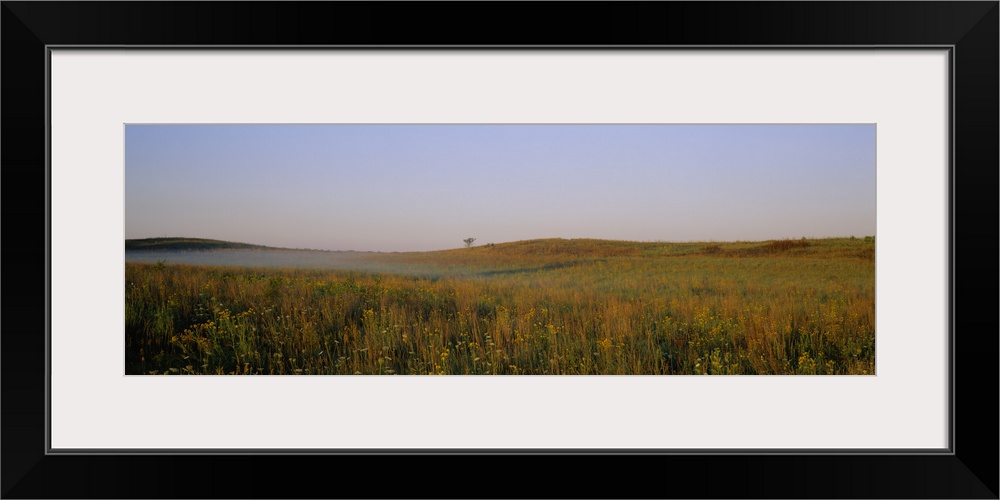 Prairie Grass Nachusa Grassland Lee County IL