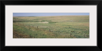 Prairie grass on a landscape, Kearney County, Nebraska