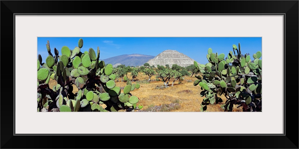 Pyramid of the Sun Mexico