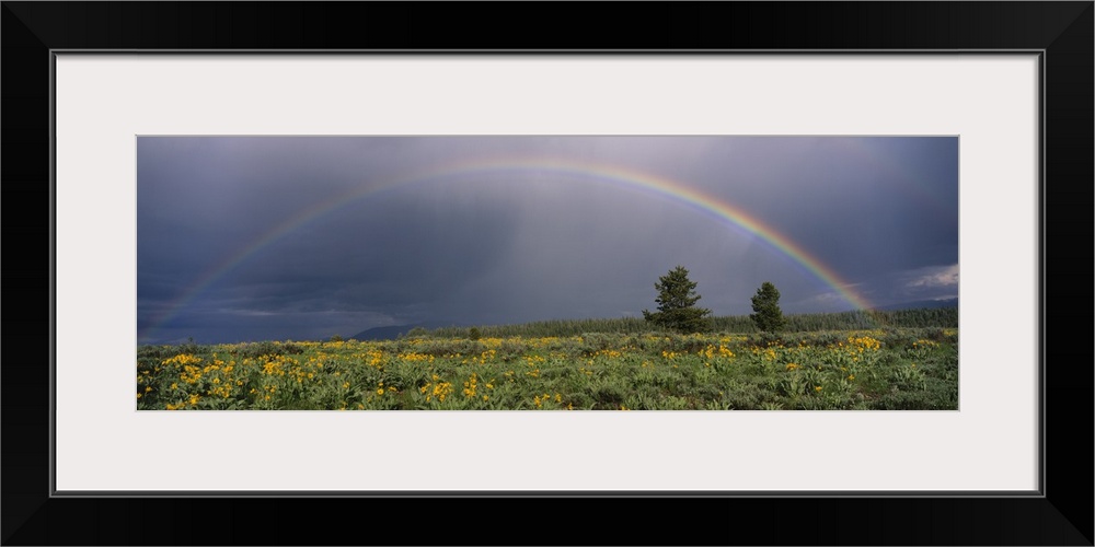 Rainbow Grand Teton National Park WY