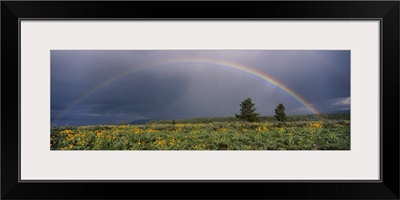 Rainbow Grand Teton National Park WY