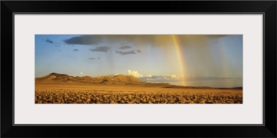 Rainbow Toyabee National Forest NV