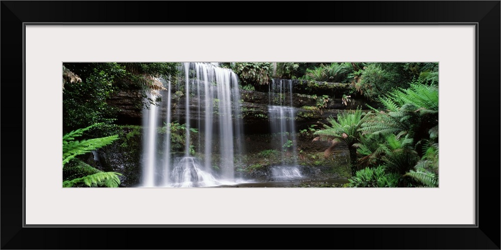 Panoramic photograph of water flowing over huge logs in the forest down into a lake of water.