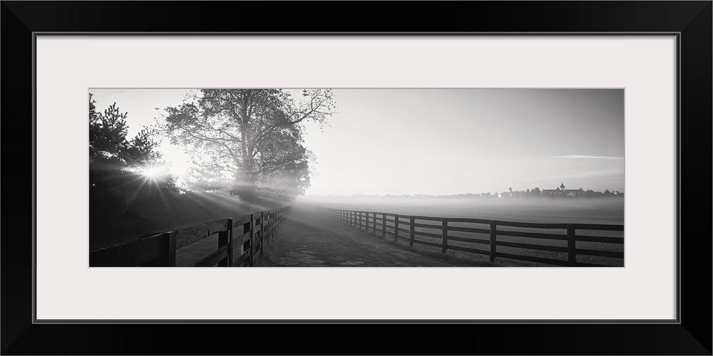 Ranch at dawn, Woodford County, Kentucky