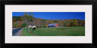 Ranch near Richmond Vermont