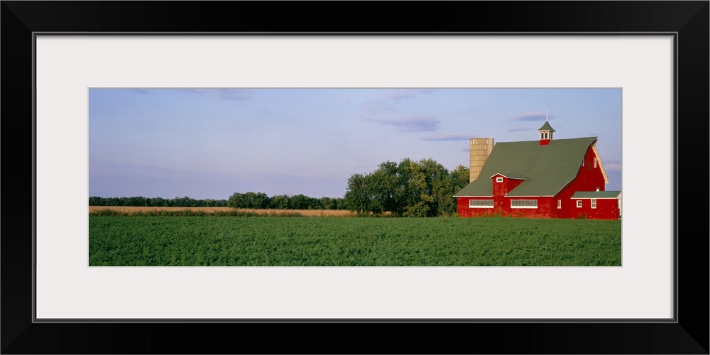 Panoramic image print of a barn in the middle of a crop field.