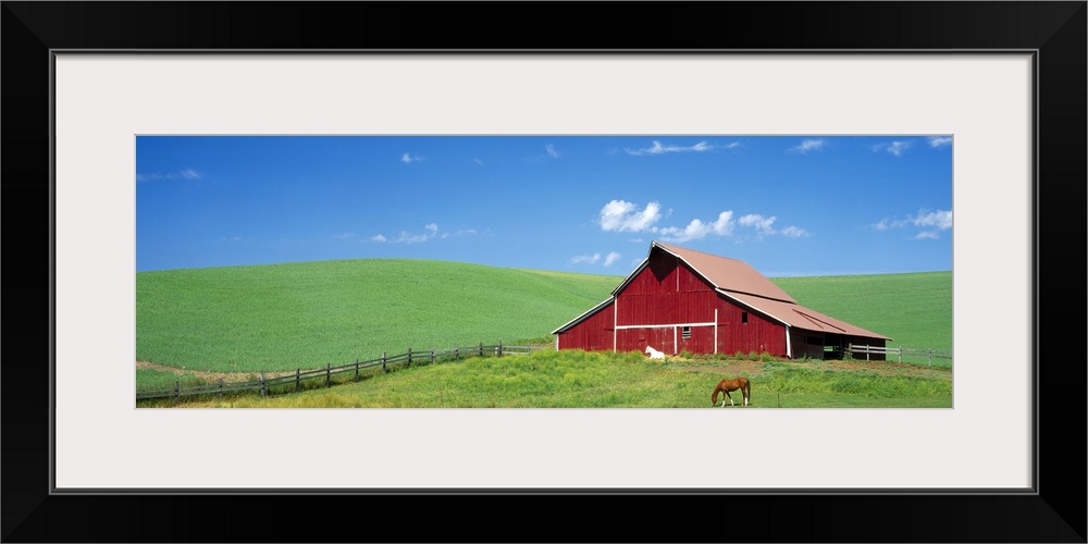 Empty farmland, gently rolling hills, and single structure with two horses photographed from a distance in this landscape ...