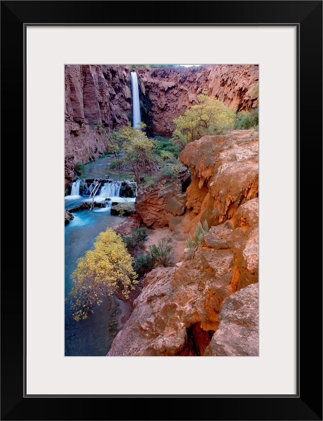 This vertical, landscape photograph shows the waterfall, stream bed, and the plants growing around them.