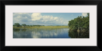 Reflection of clouds in water, Everglades National Park, Florida