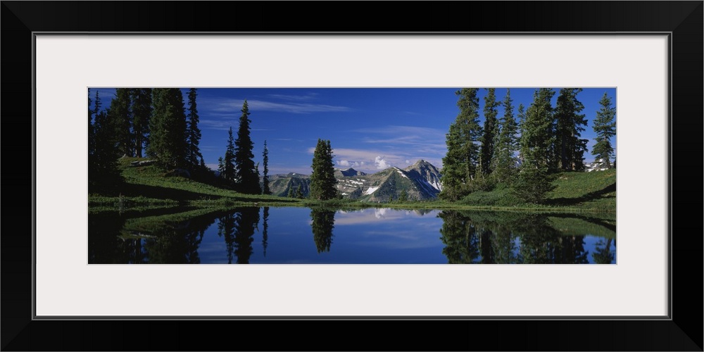 Reflection of pine trees in a lake, Alpine Lake, Gunnison National Forest, Colorado