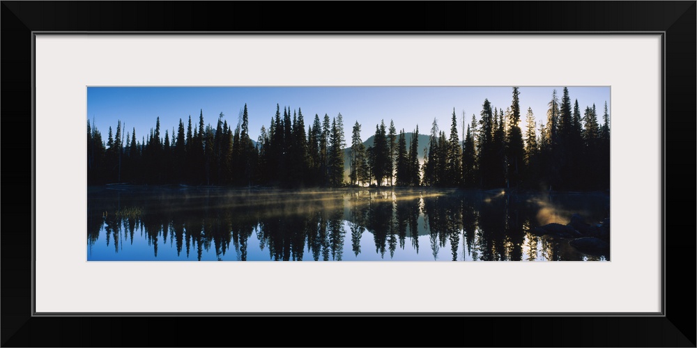 Reflection of pine trees in a lake, Sparks Lake, Deschutes County, Oregon