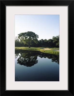 Reflection of trees in a lake, Kiawah Island Golf Resort, Kiawah Island, Charleston County, South Carolina