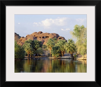 Reflection of trees in a park, Papago Park, Phoenix, Maricopa County, Arizona