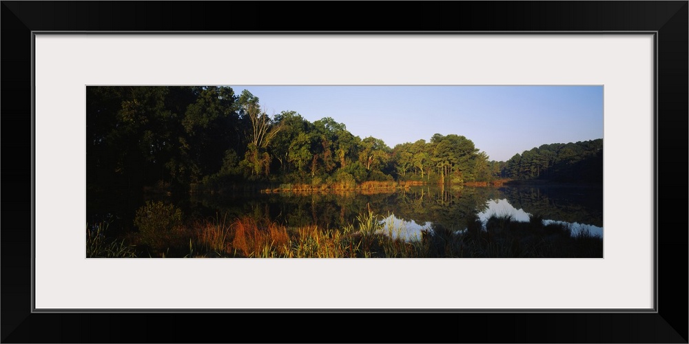 Reflection of trees on water, Jamestown, Virginia