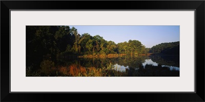 Reflection of trees on water, Jamestown, Virginia