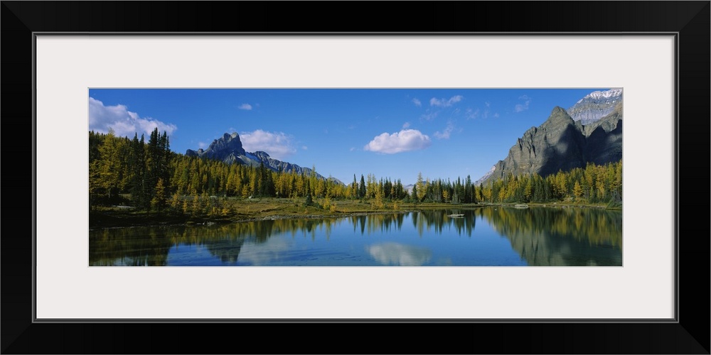 Reflection of trees on water, Lake OHara, Yoho National Park, British Columbia, Canada