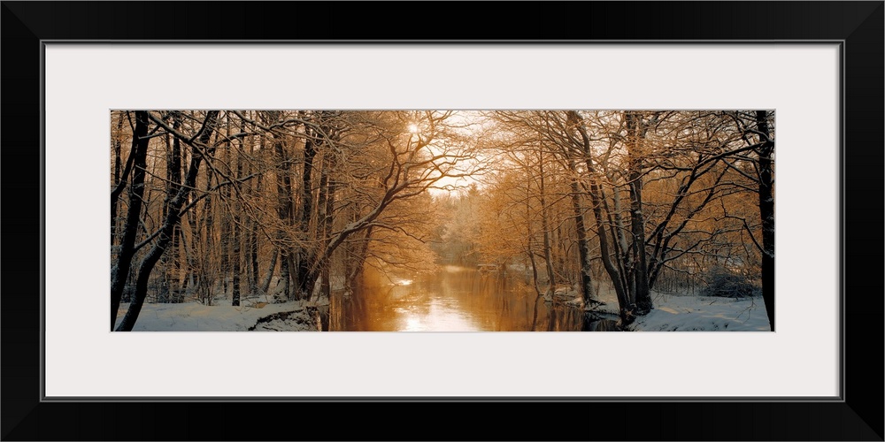 Wall art of a snowy landscape full of trees is divided by a calm river backlit by warm sunlight.