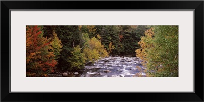 River flowing through a forest Ausable River Adirondack Mountains Wilmington Essex County New York State