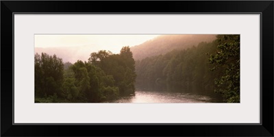 River flowing through a forest, Delaware River, Delaware County, New York State