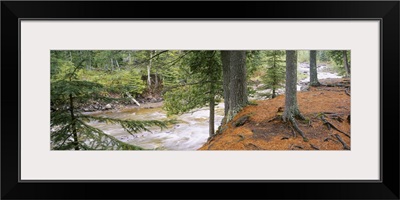 River flowing through a forest, Gooseberry River, Gooseberry Falls State Park, Minnesota