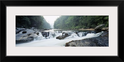 River flowing through a forest, Raven Chute, Chattooga River, Georgia and South Carolina