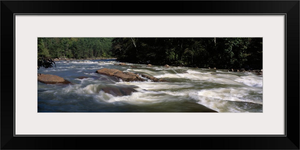 River flowing through a forest, Slice and Dice Rapids, Ocoee River, Cherokee National Forest, Tennessee