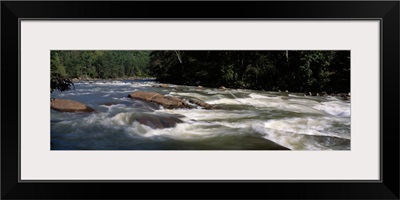 River flowing through a forest, Slice and Dice Rapids, Ocoee River, Cherokee National Forest, Tennessee