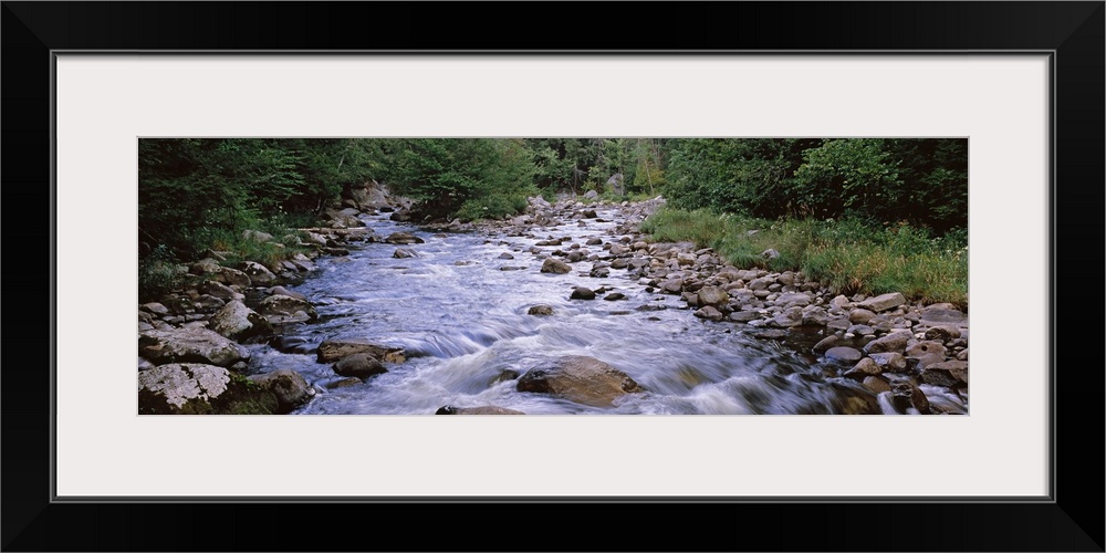 A river flows over rocks with thick brush and foliage lining both sides of the water.