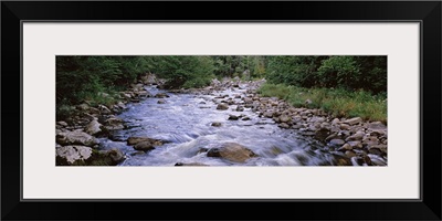 River flowing through a forest, West Branch of the Ausable River, Adirondack Mountains, New York State,